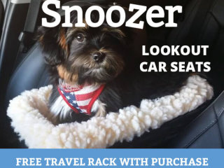 Snoozer Lookout Car Seat Promo